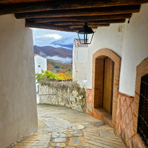 The copper forest around the bend. Photo © Karethe Linaae